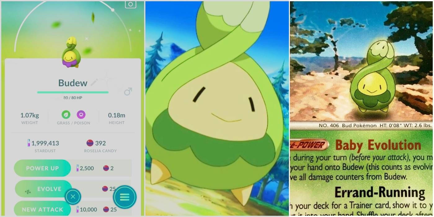 Grid Collage Of Budew