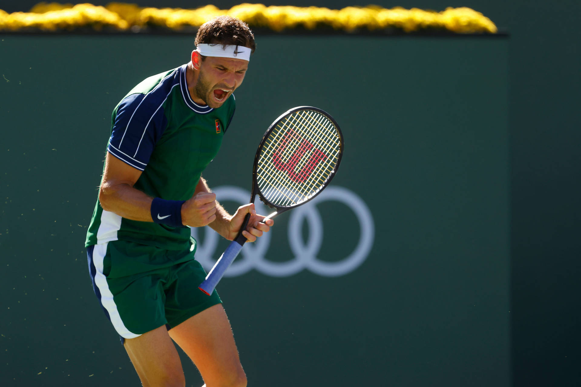 Grigor Dimitrov Yelling Background