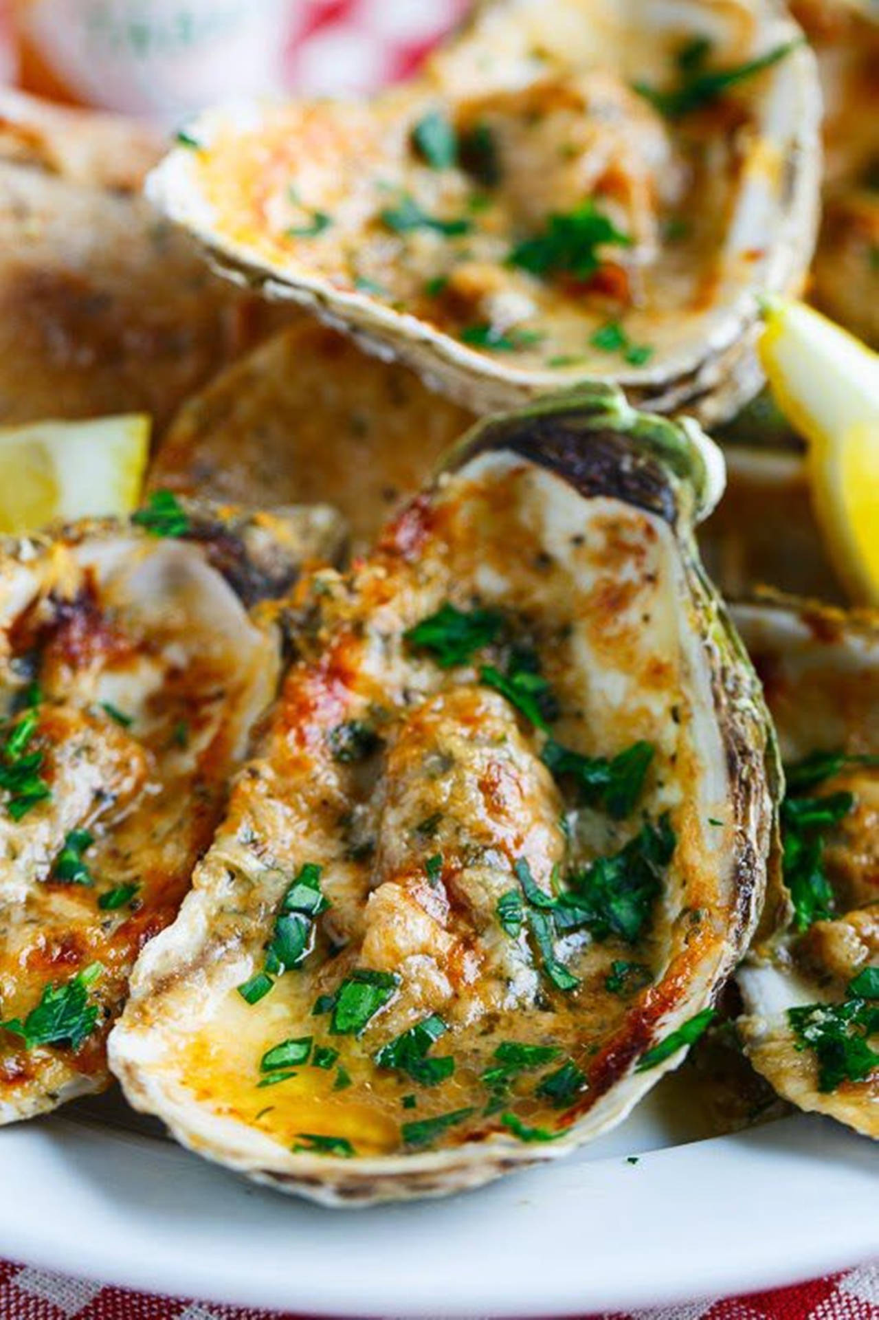 Grilled Herbed Oysters Background