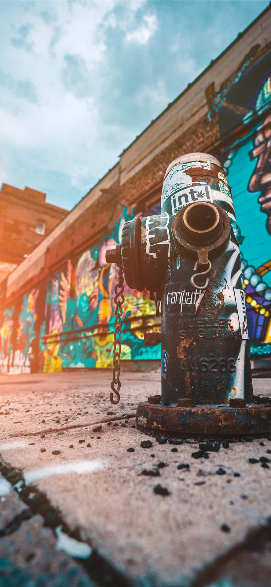 Gritty Fire Hydrant Background