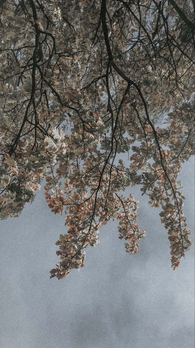 Gritty Leaves Background