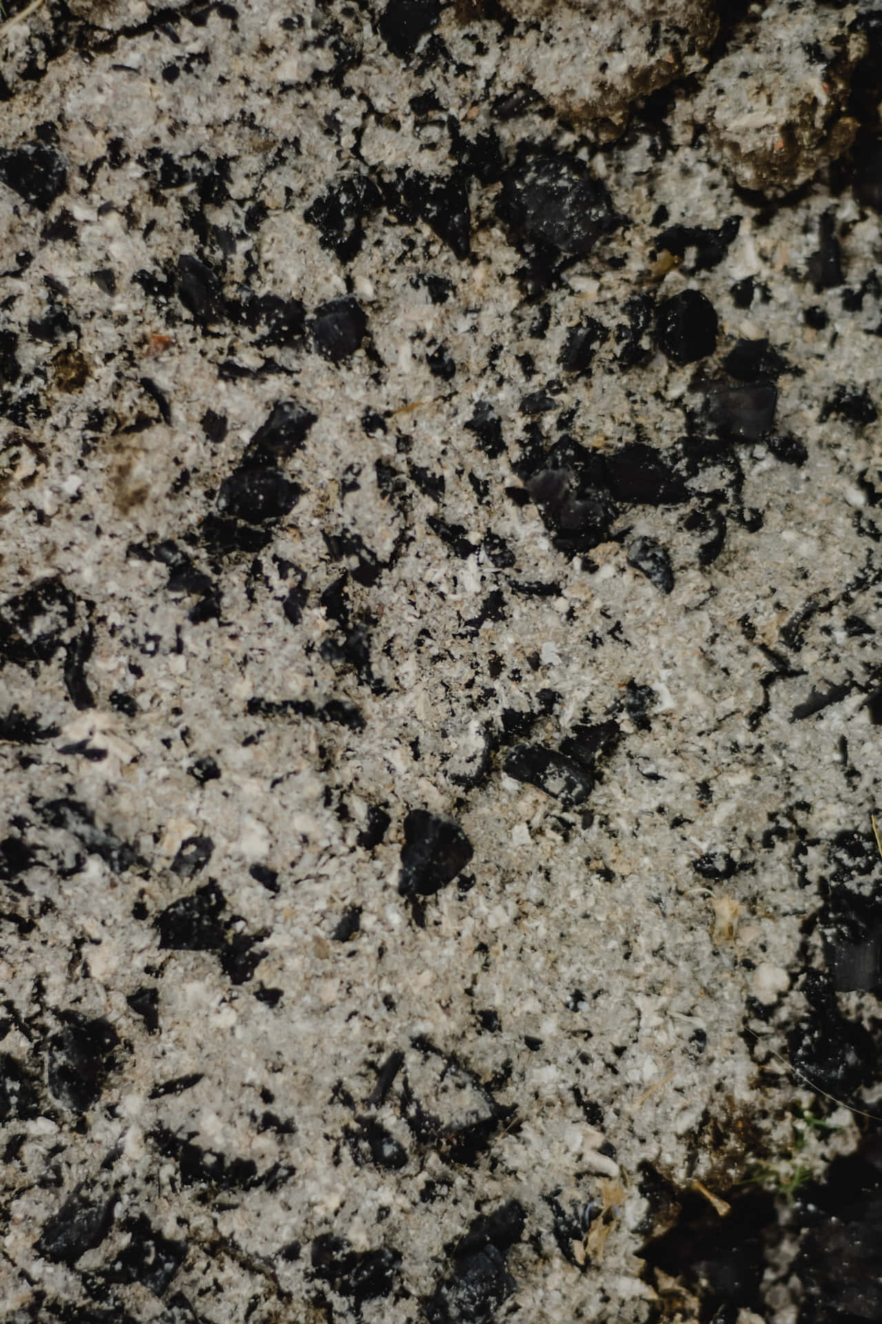 Gritty Sand Background