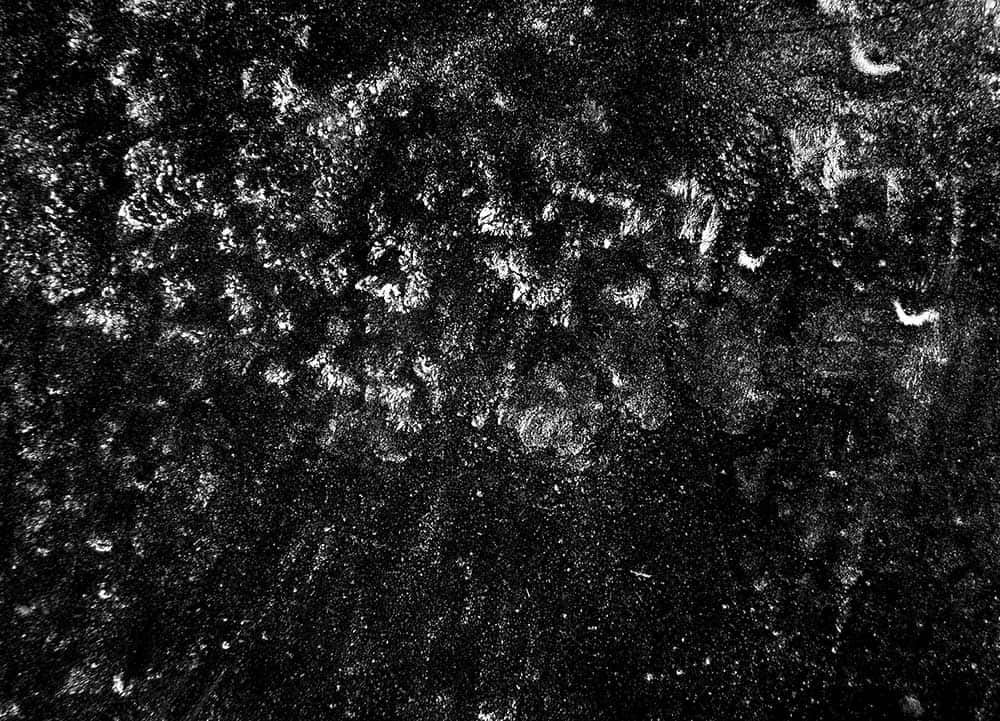 Gritty Spores Background