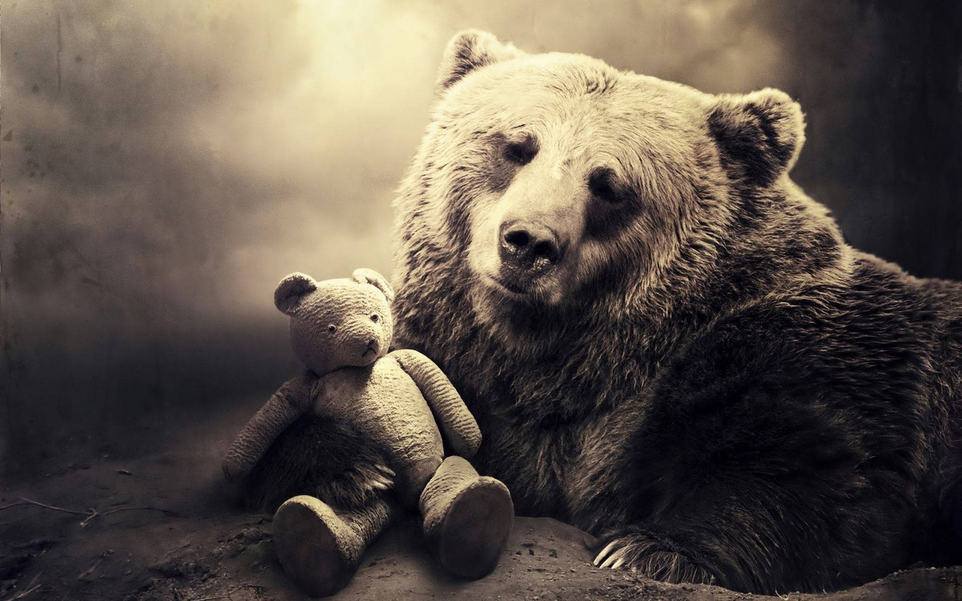 Grizzly Bear With Teddy Bear Background