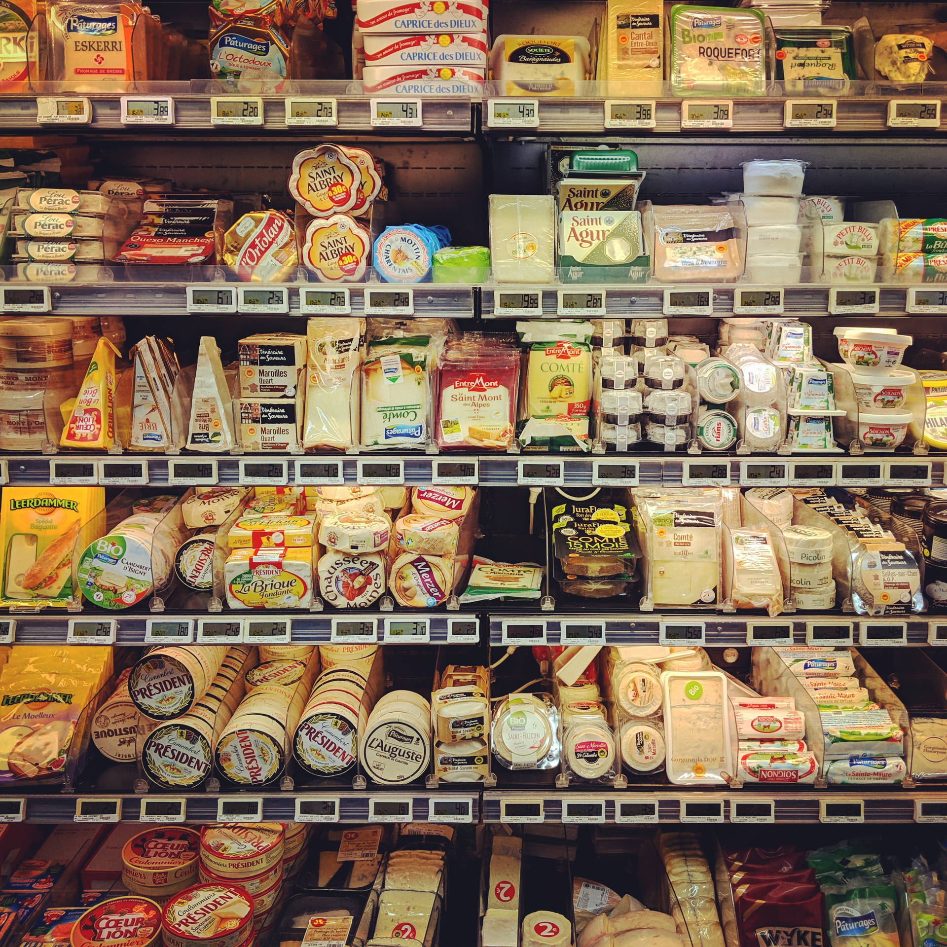 Grocery Cheese Section Background