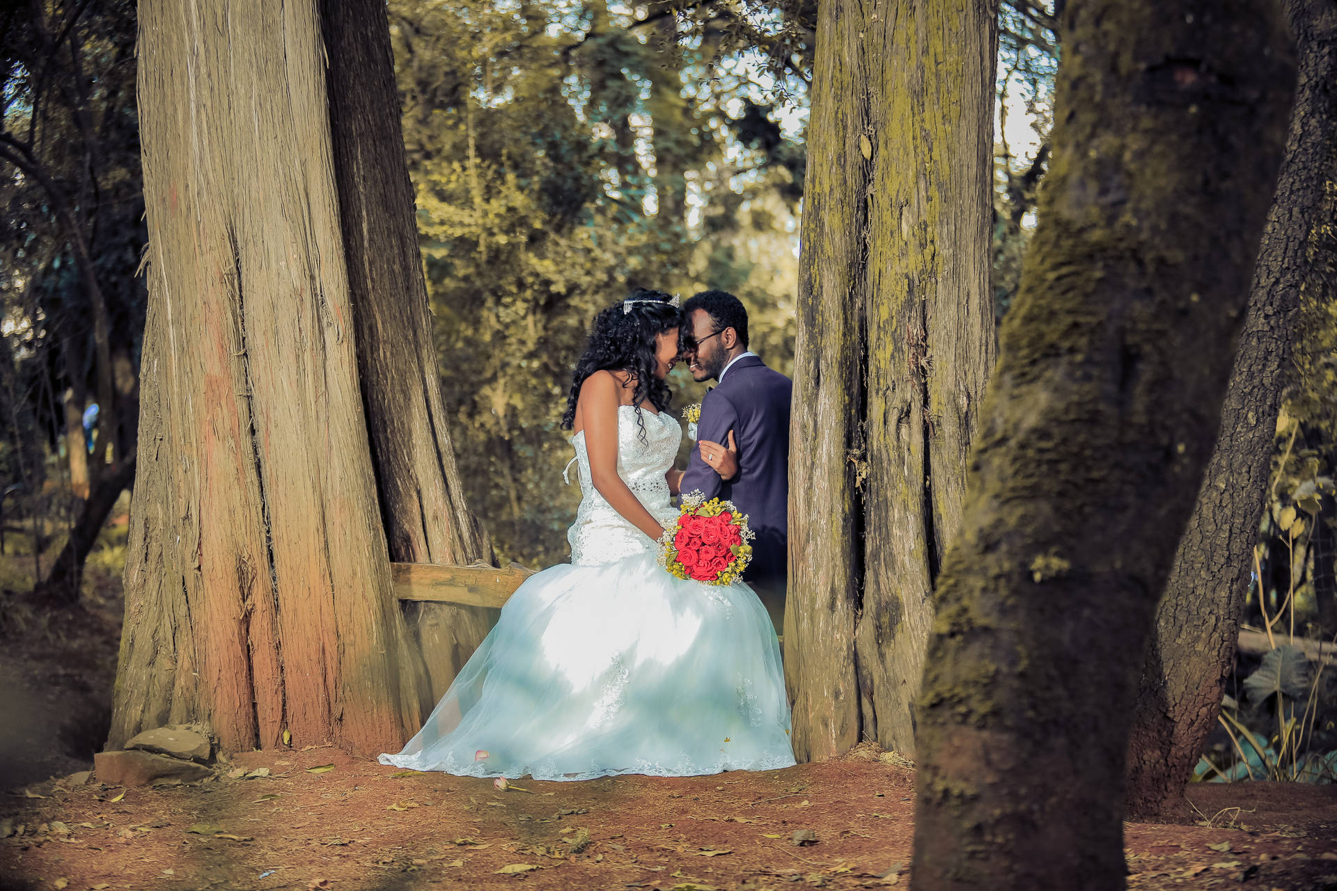Groom And Bride In Tall Trees Background