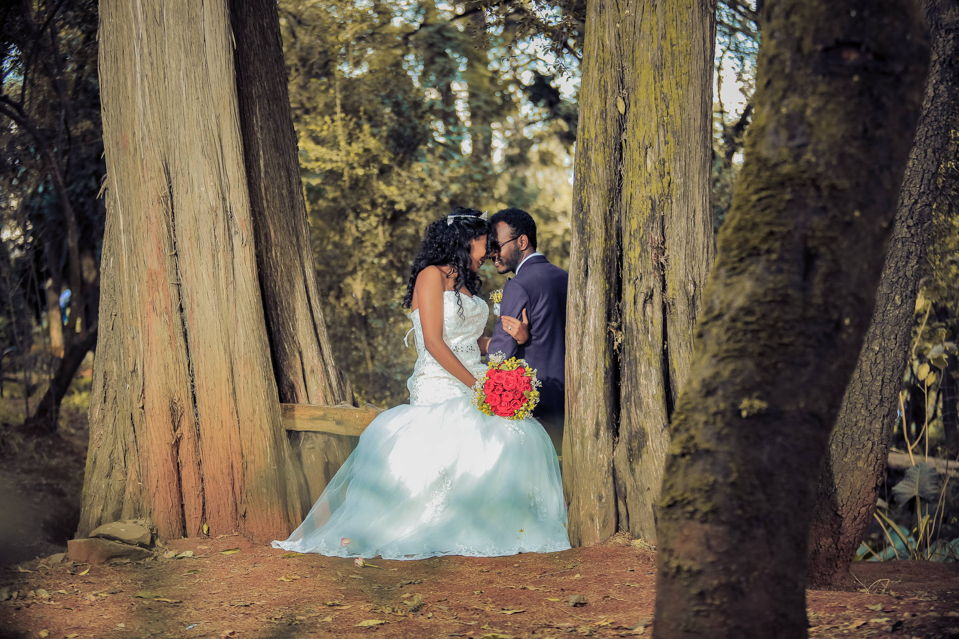 Groom And Bride In Tall Trees