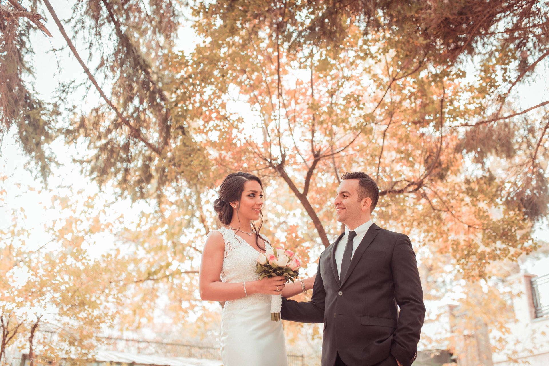 Groom And Bride Under The Tree Background