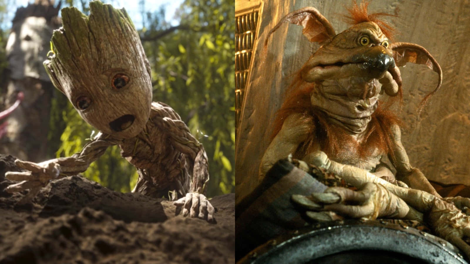 Groot And Salacious Background