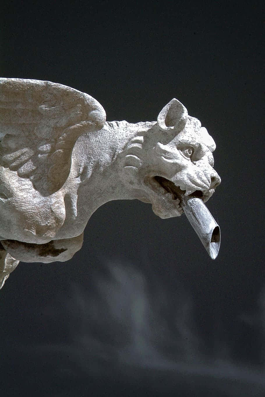 Grotesque Lion [wallpaper] Background