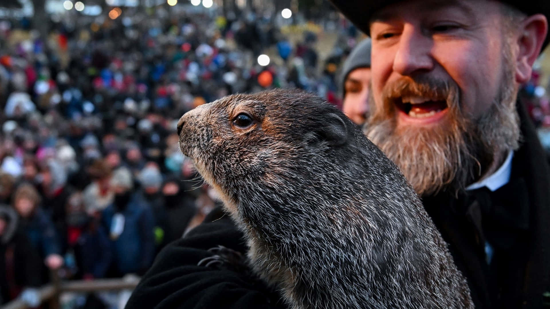 Groundhog Day Celebration