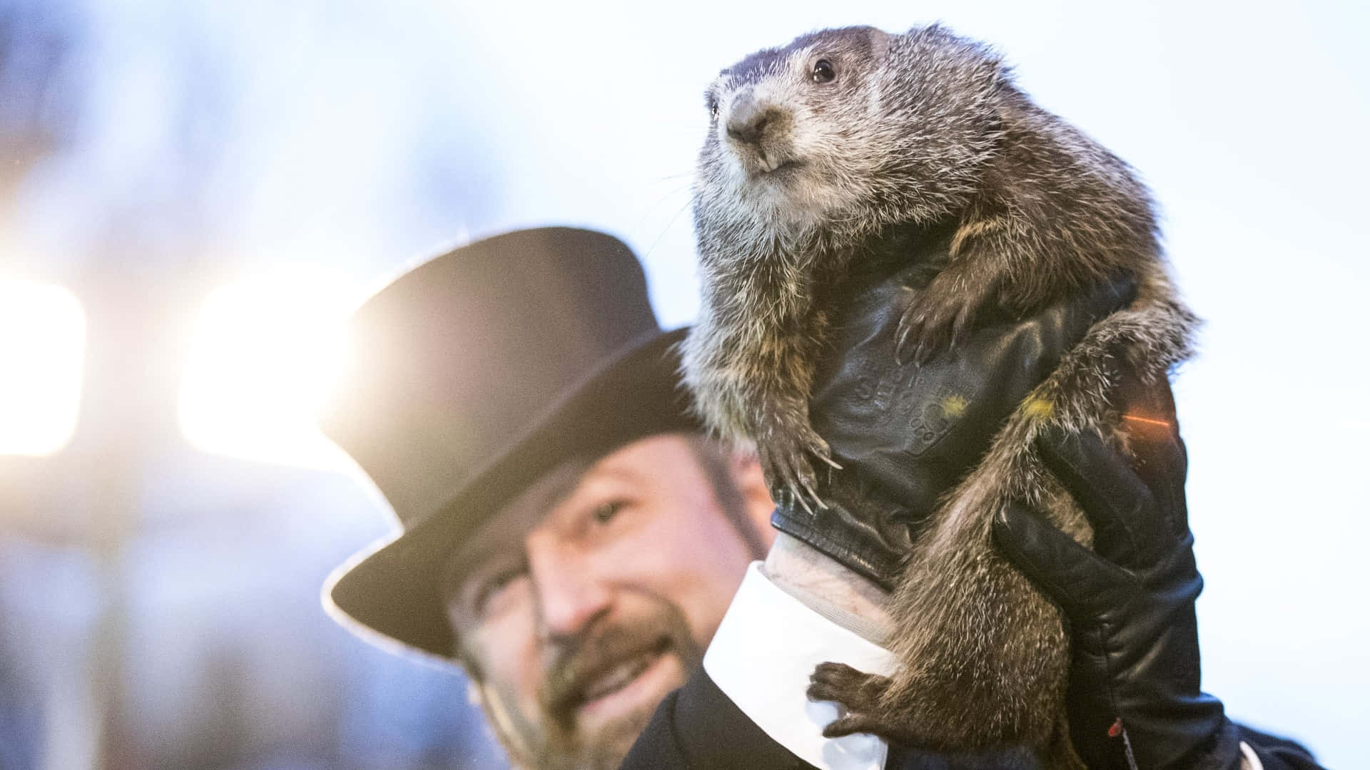 Groundhog Day Celebration