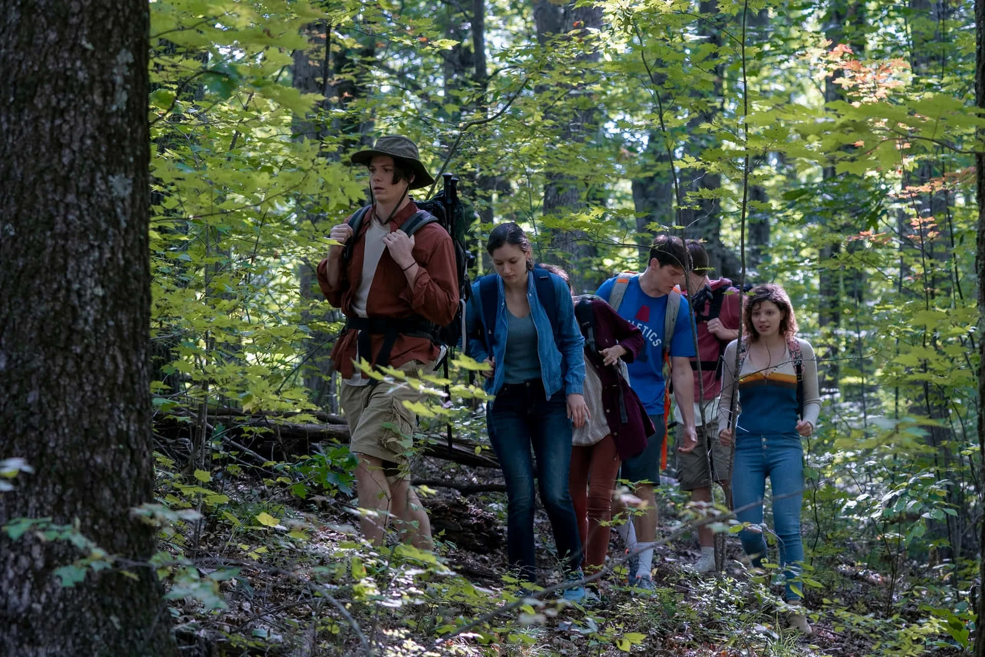 Group Hikingin Forest Background