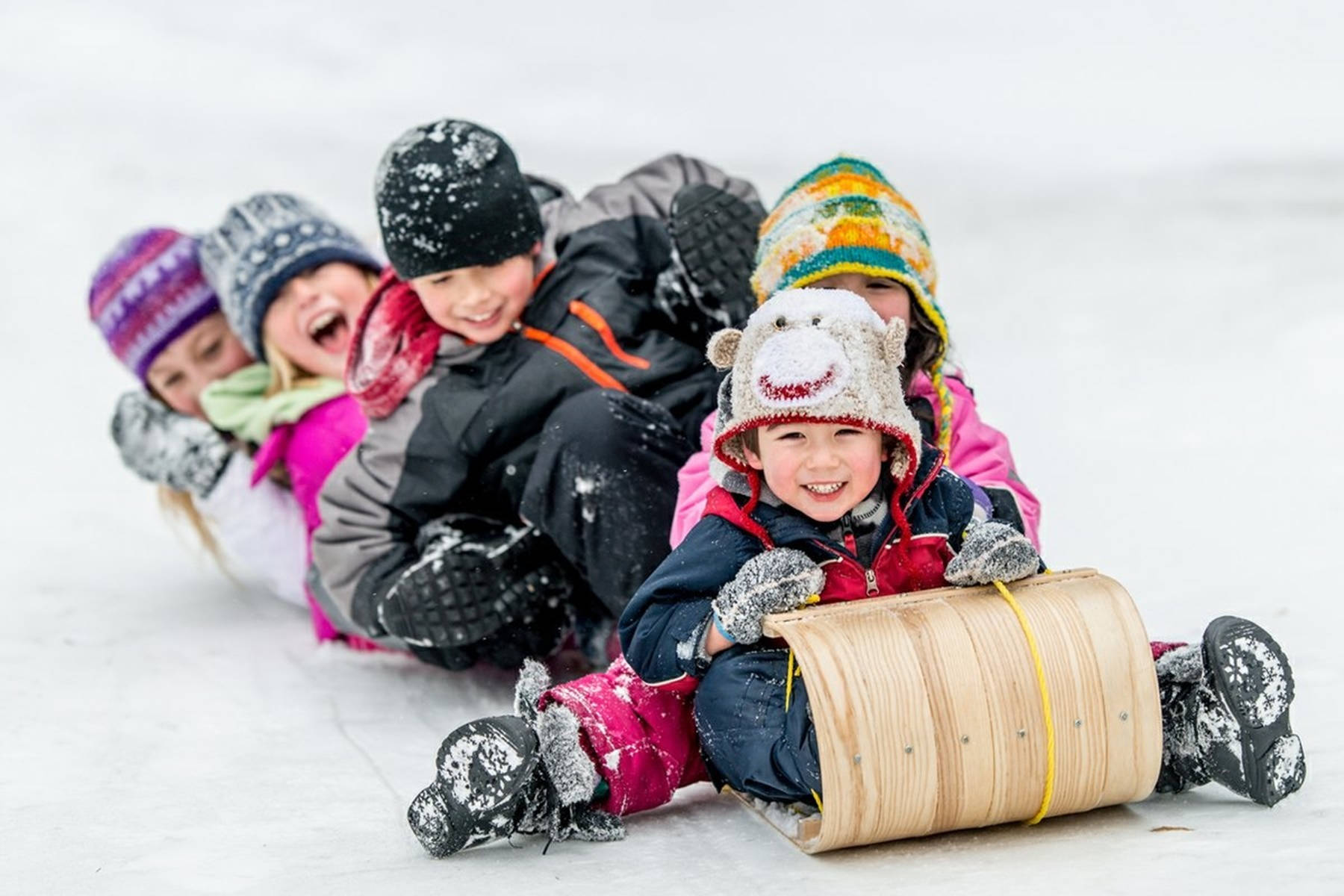 Group Of Kids Sledding Background