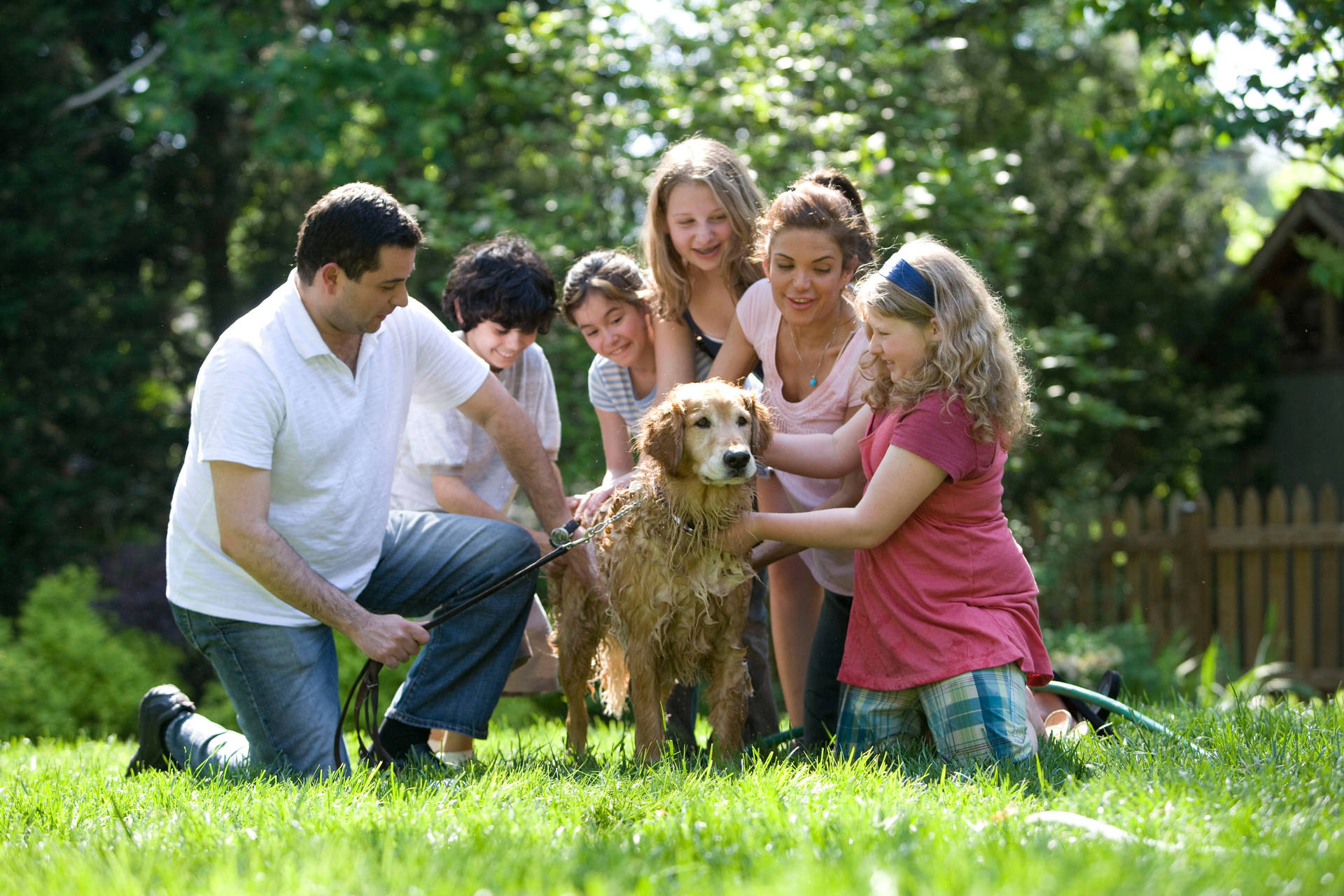 Group Of People Bathing A Dog