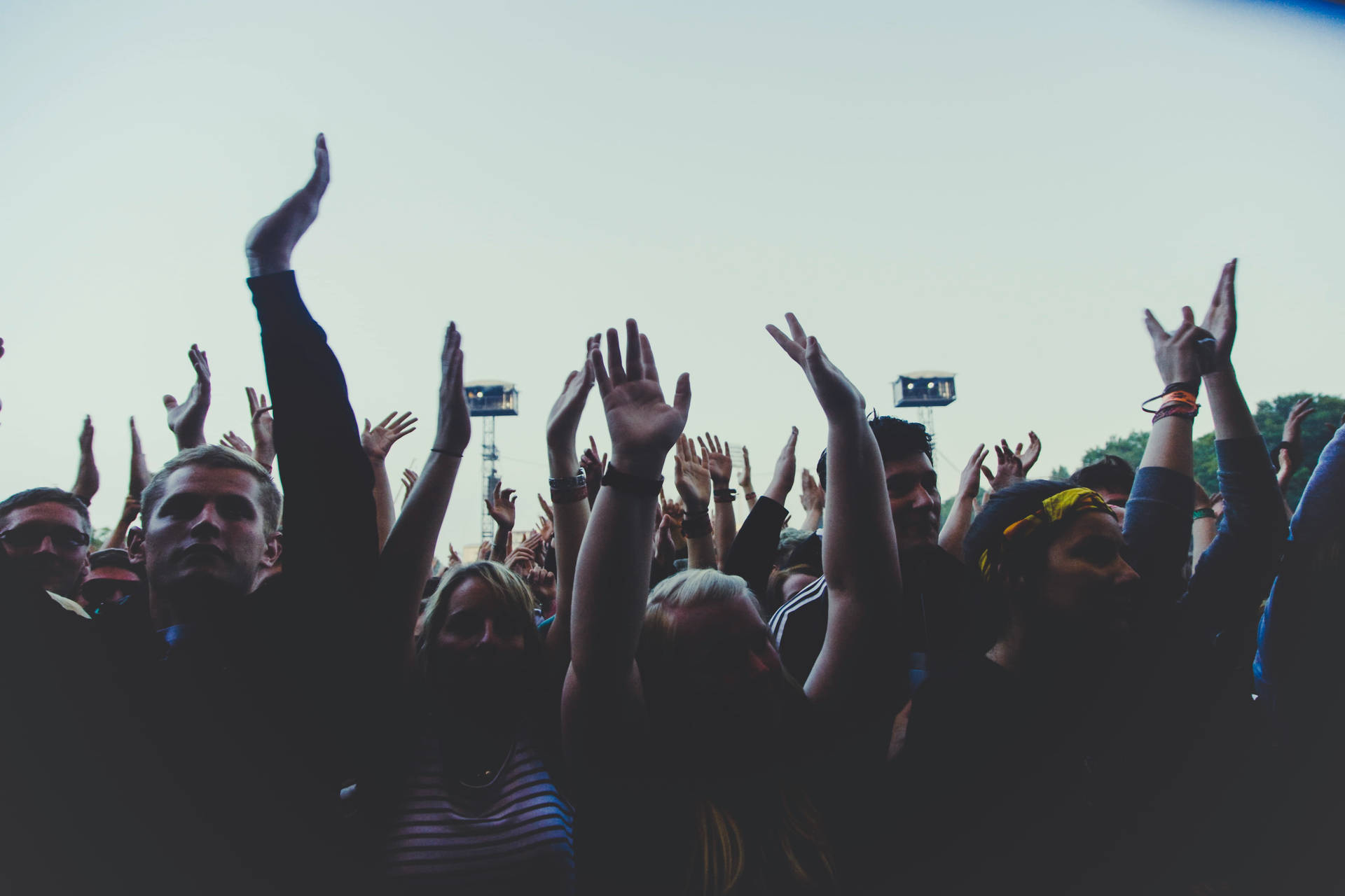 Group Of People In A Concert