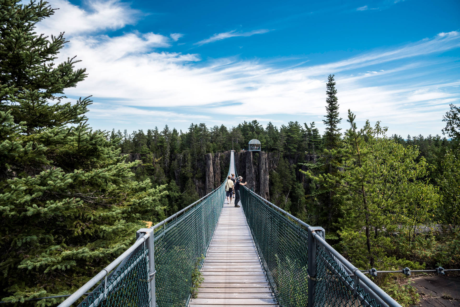 Group Of People On A Hanging Bridge