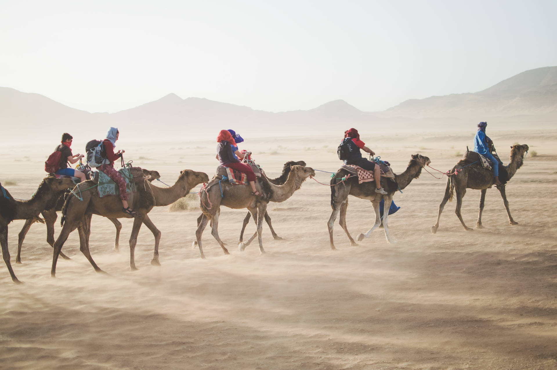 Group Of People Riding Camels Background