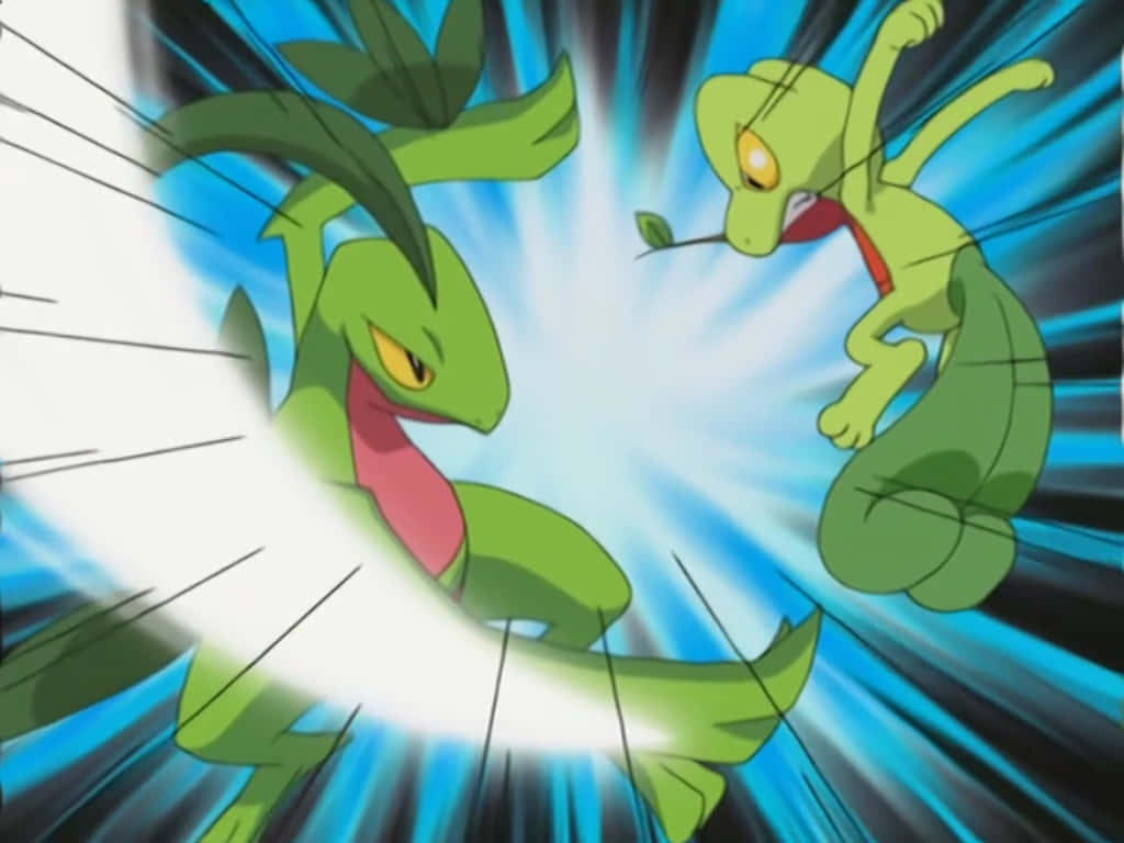 Grovyle Fighting Treecko Background