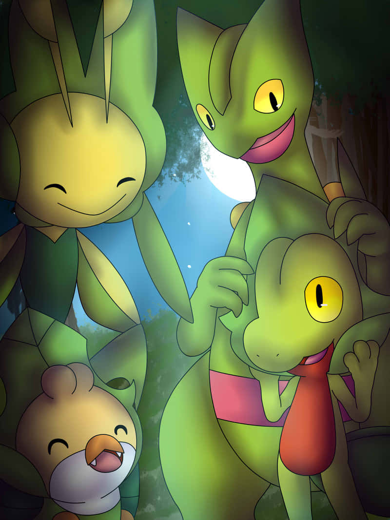 Grovyle With Green Pokemon Background
