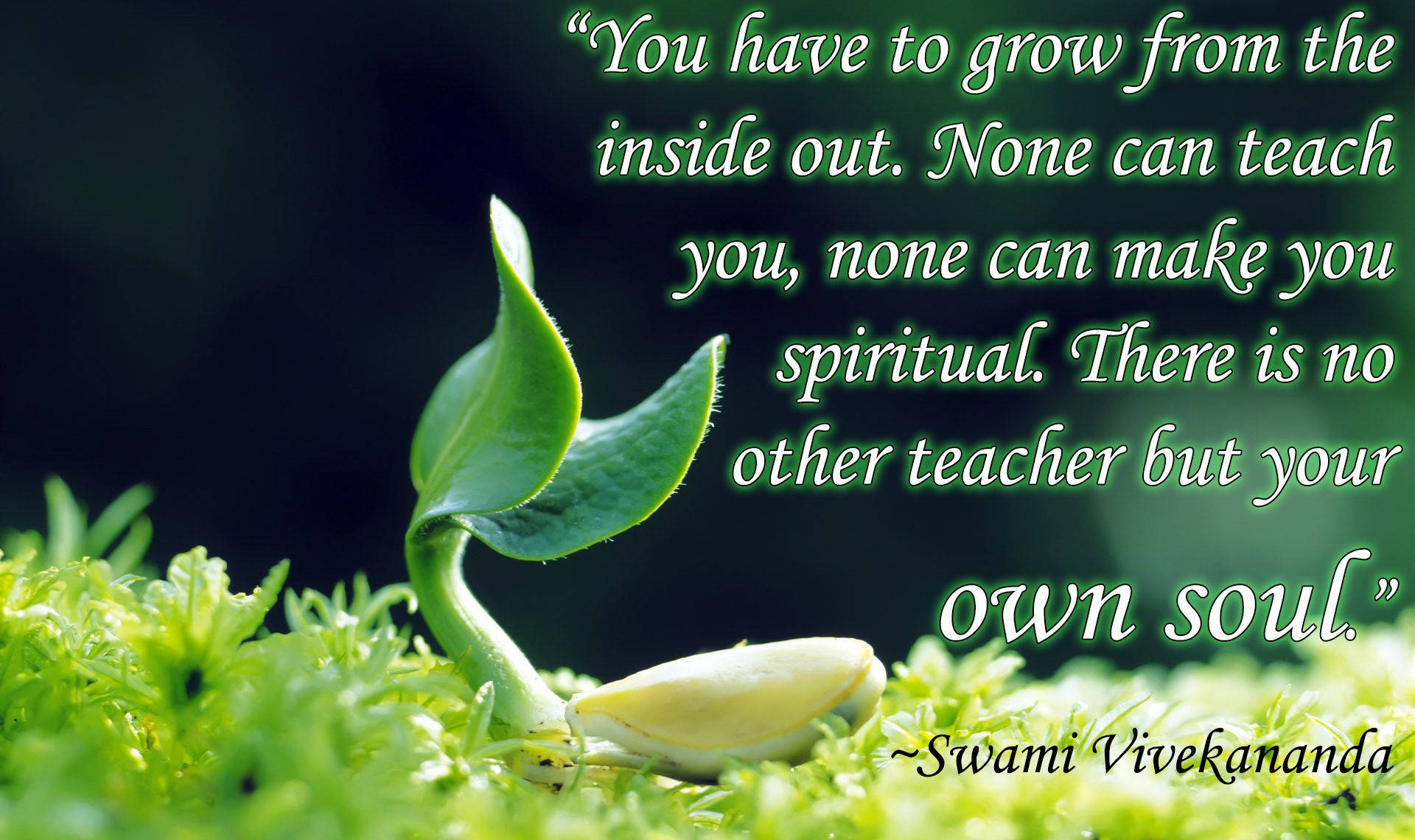 Grow Inside Out Quote