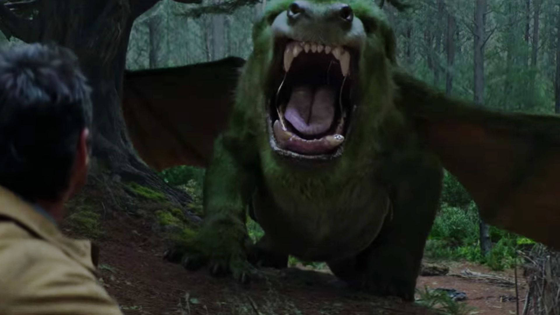 Growling Pete's Dragon Background