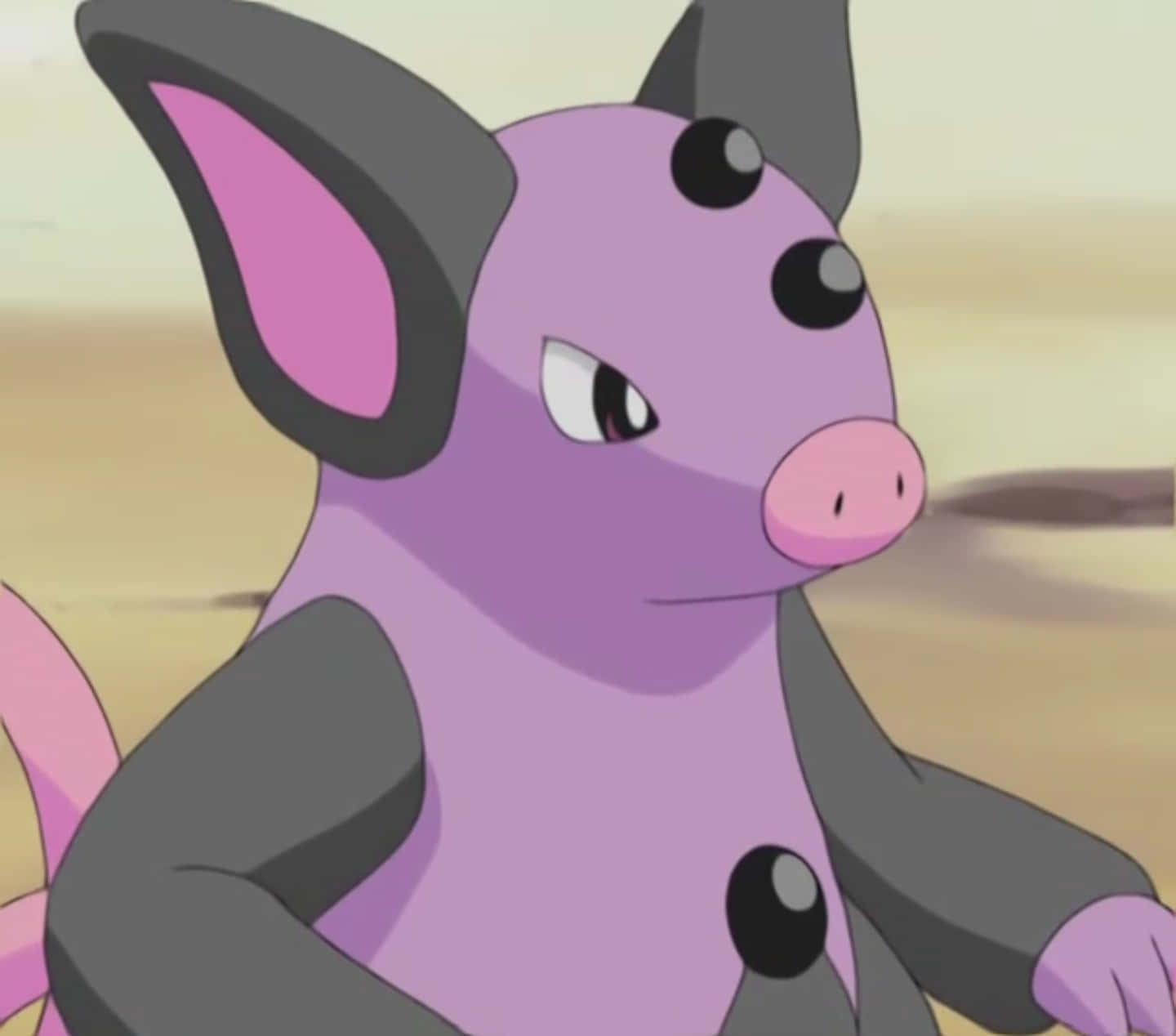 Grumpig On Dirt Pathway Background