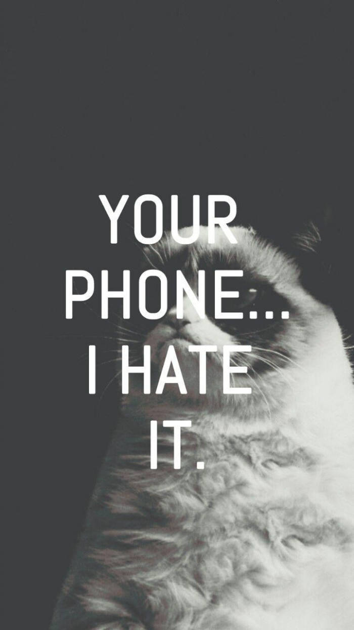 Grumpy Cat Funny Phone Background