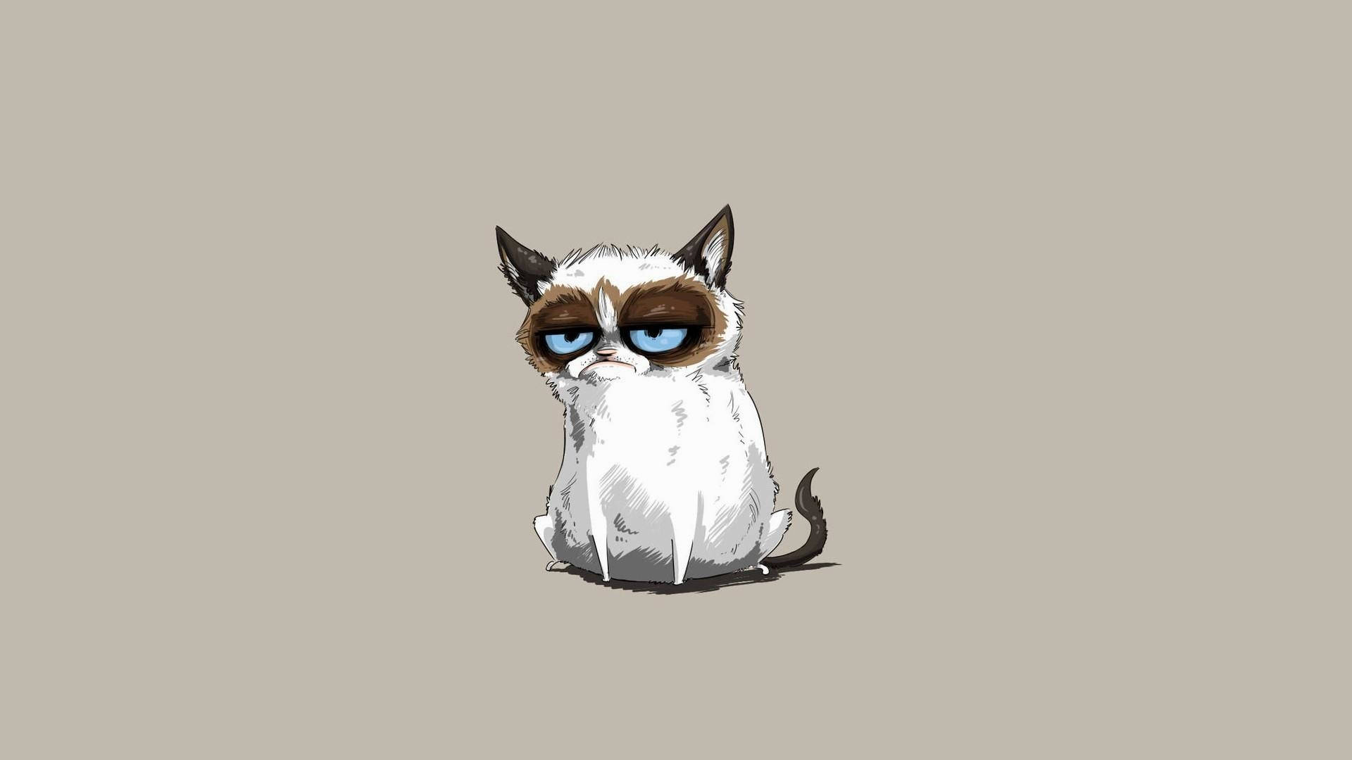 Grumpy Cat Hd Cartoon Background