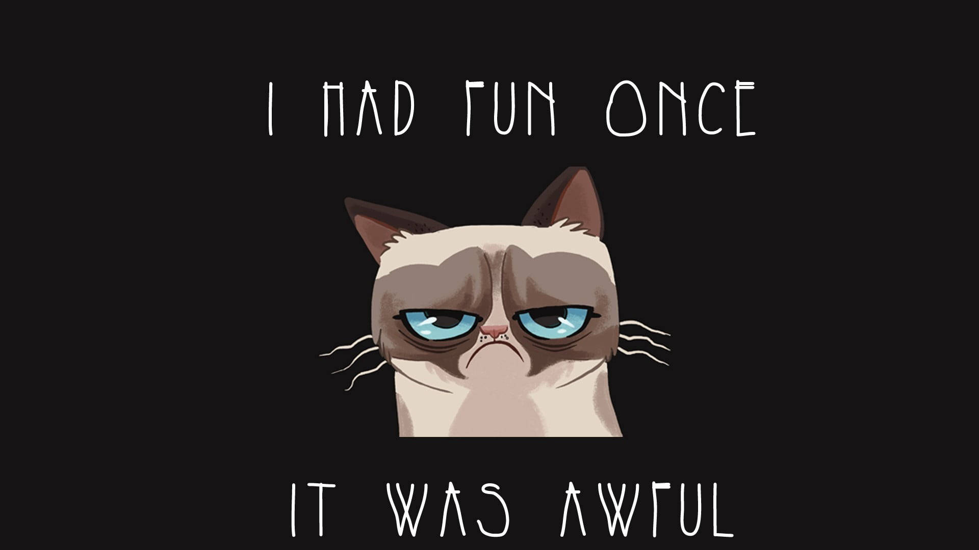 Grumpy Cat Humor Background