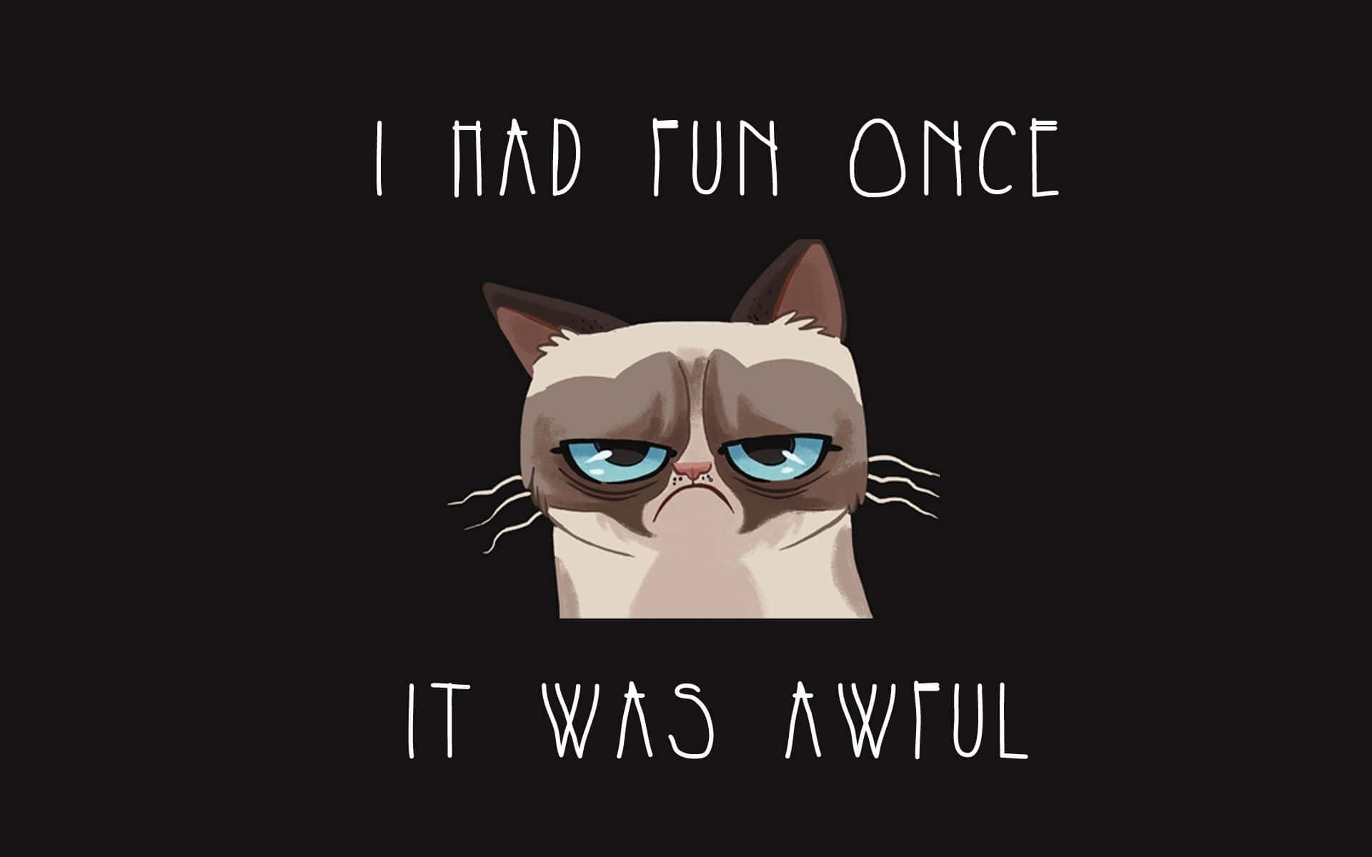 Grumpy Cat - I Had Fun Once It Was Awful Background