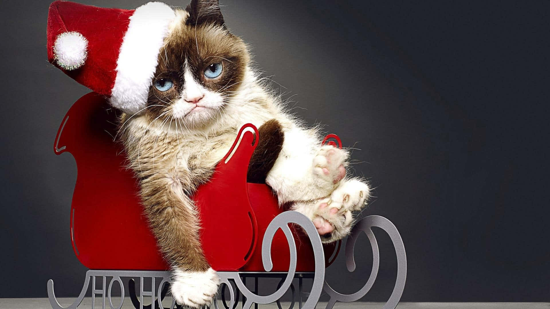 Grumpy Cat In Santa Hat Background