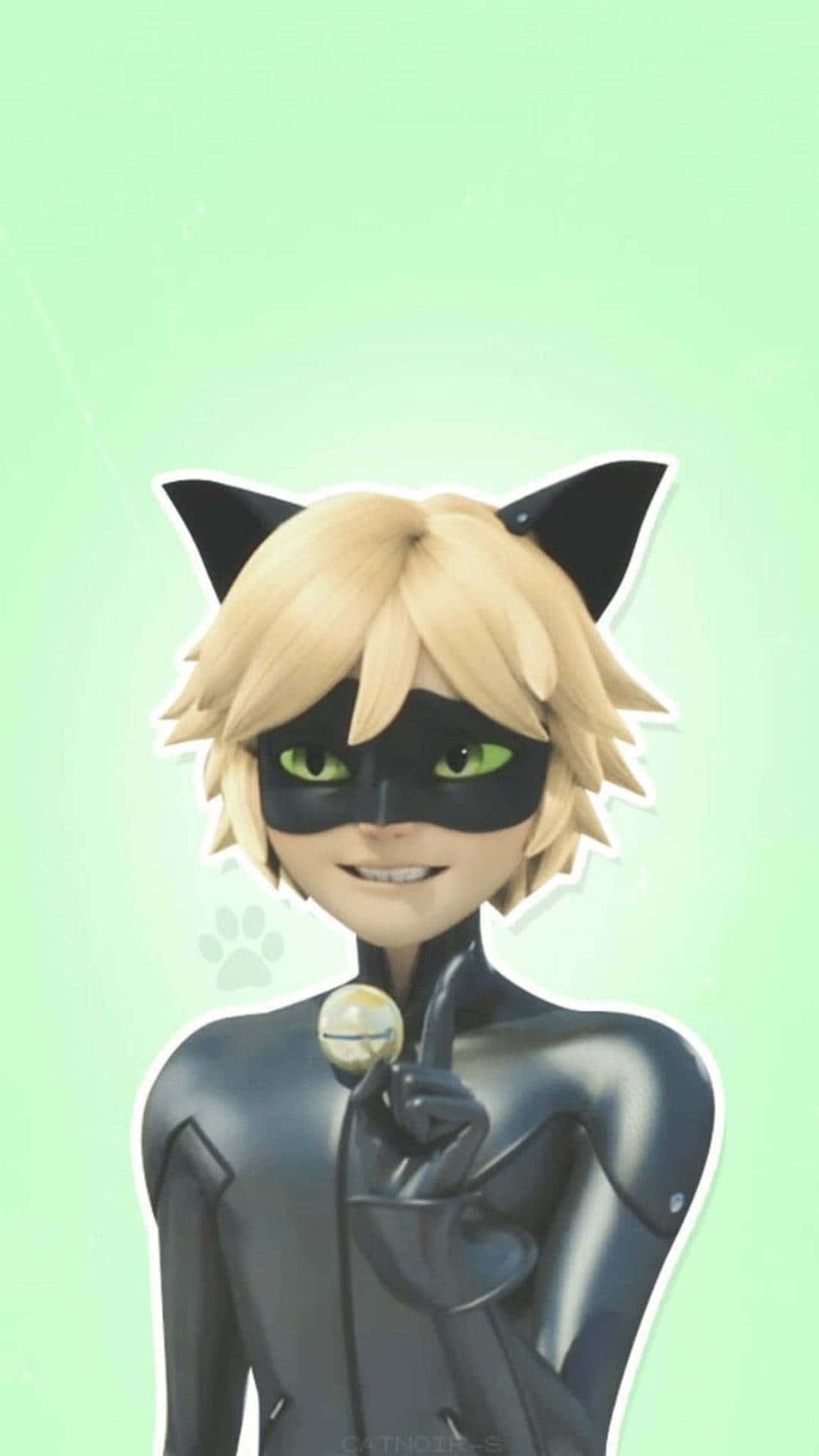 Grumpy Character Cute Cat Noir Background