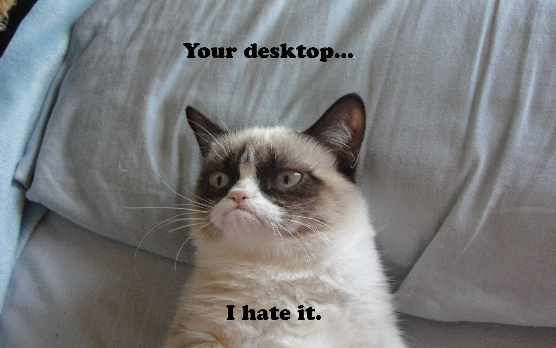 Grumpy Desktop Funny Meme