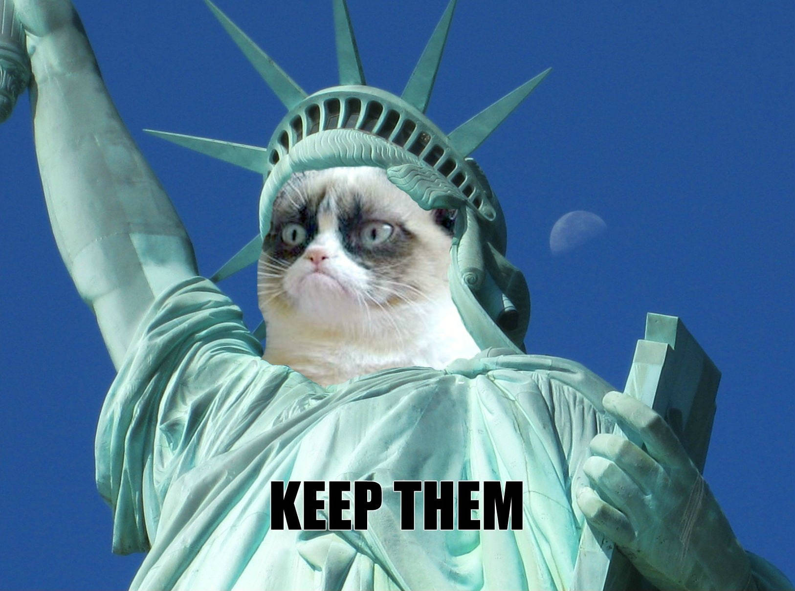 Grumpy Liberty Statue Funny Meme Background