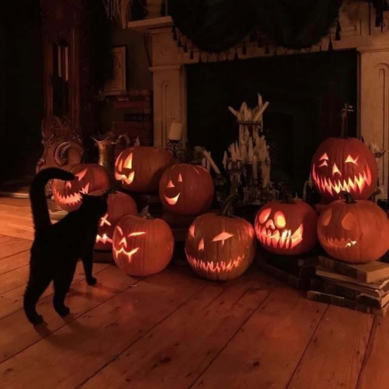 Grunge Halloween Catand Pumpkins Background