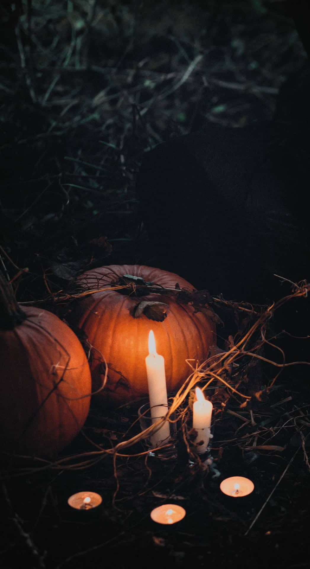 Grunge Halloween Pumpkinsand Candles Background