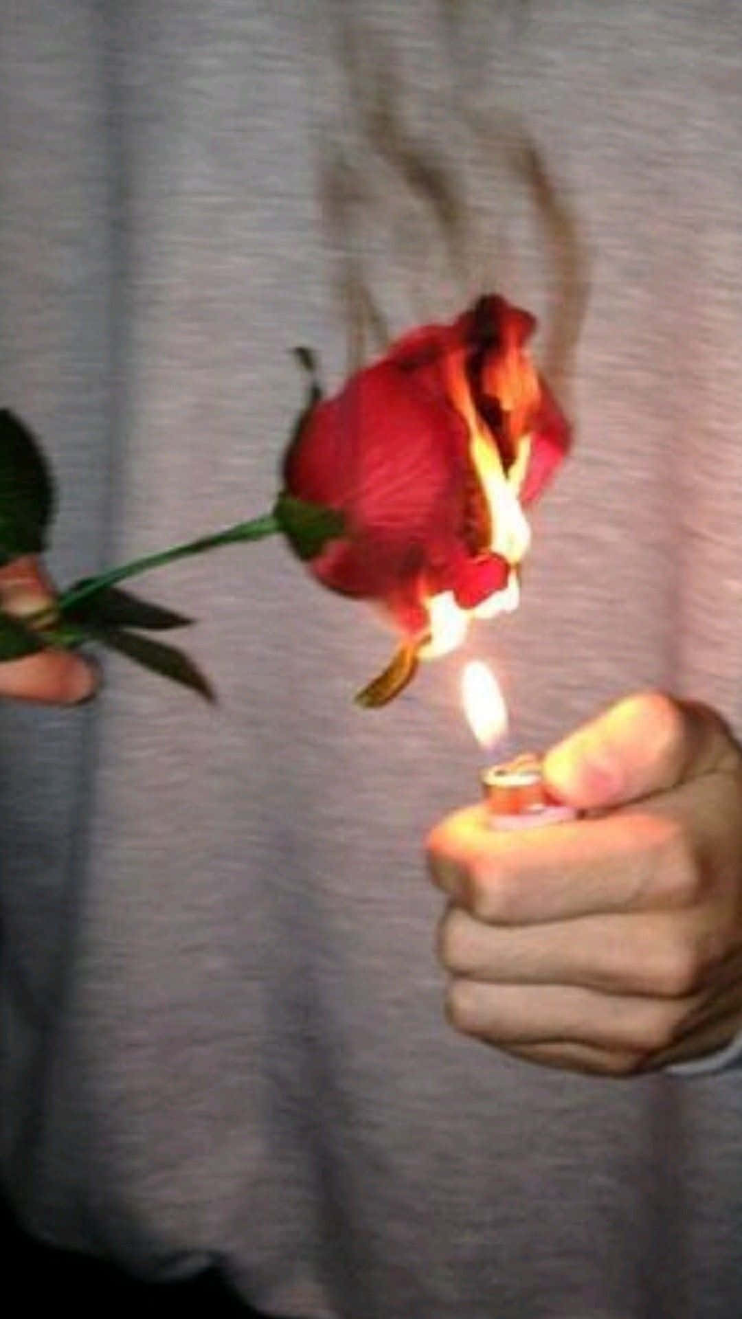 Grunge Tumblr Aesthetic Burning Rose Background