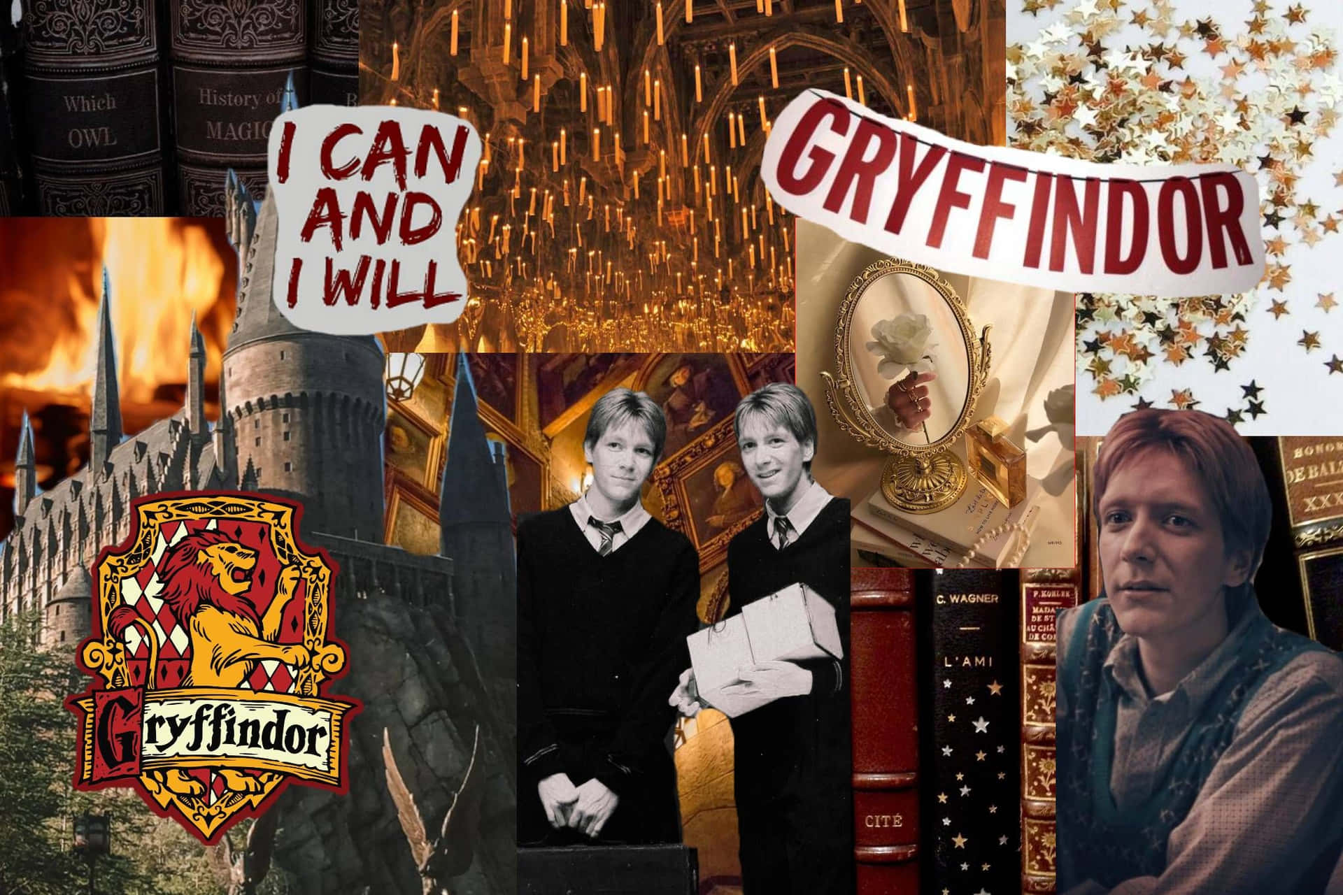 Gryffindor Aesthetic Iphone Screen Theme Background