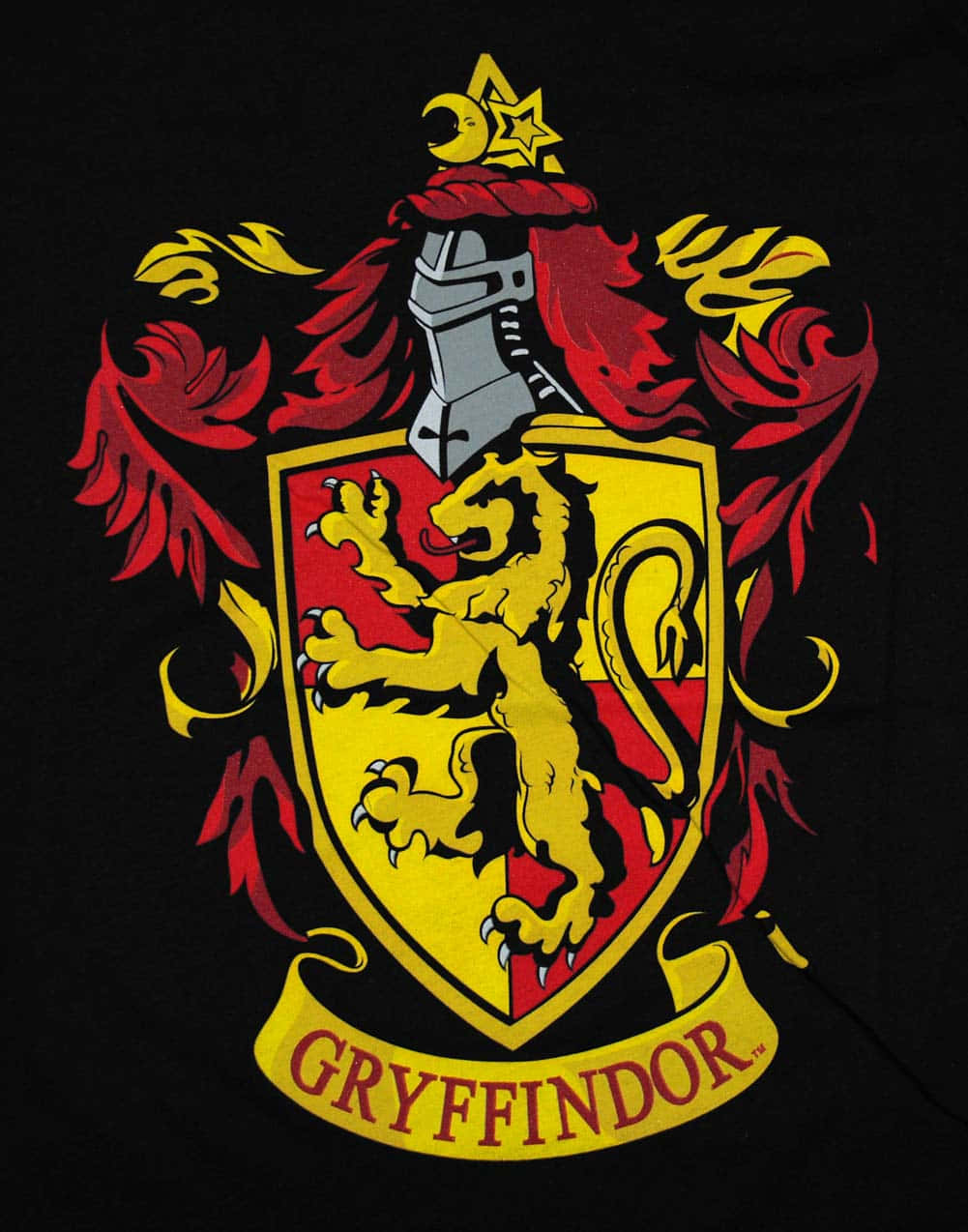 Gryffindor Dedication Background