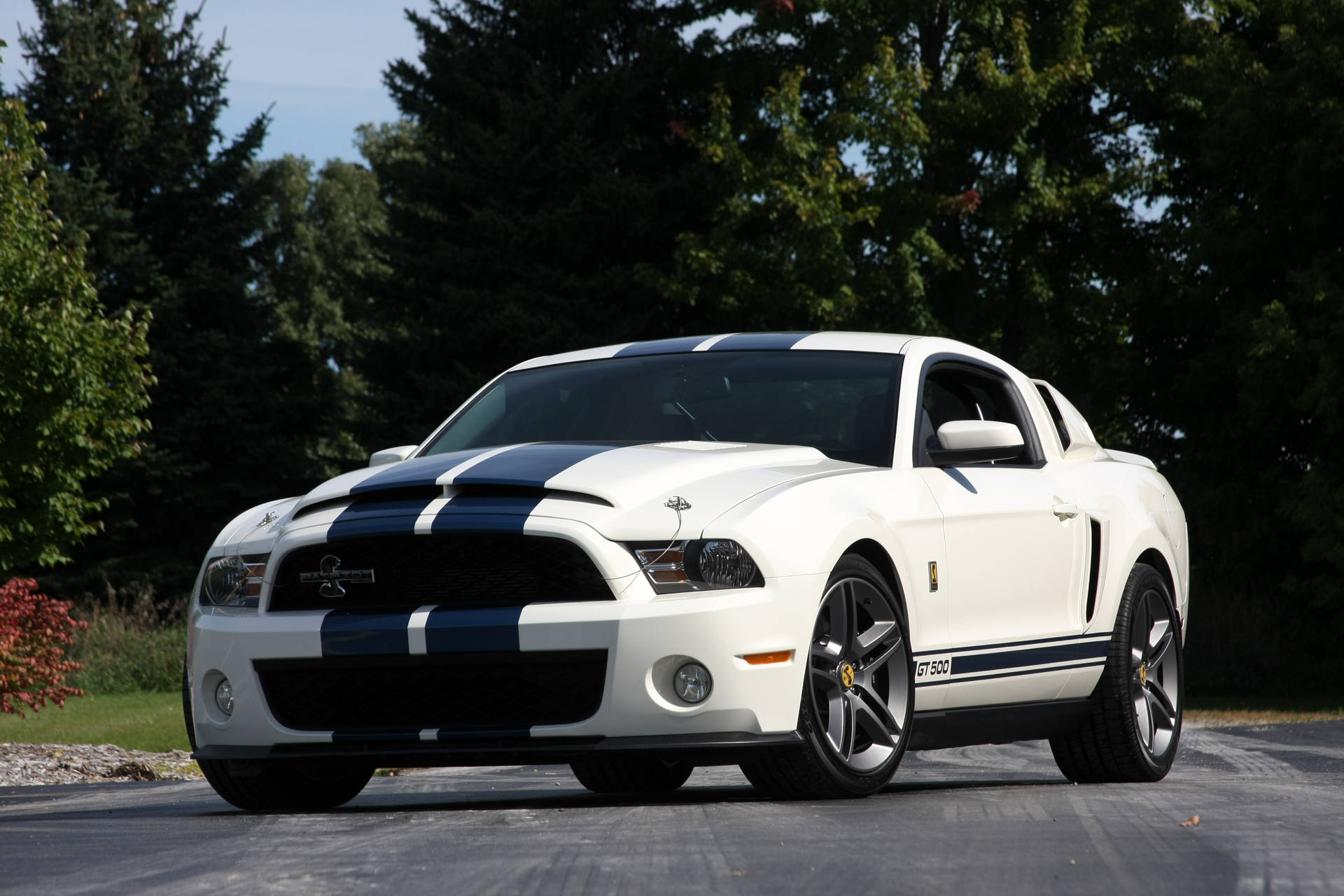 Gt 500 Cobra Shelby Iphone