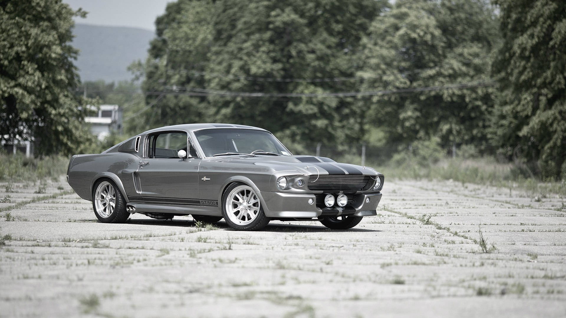 Gt500 Fastback Shelby Iphone