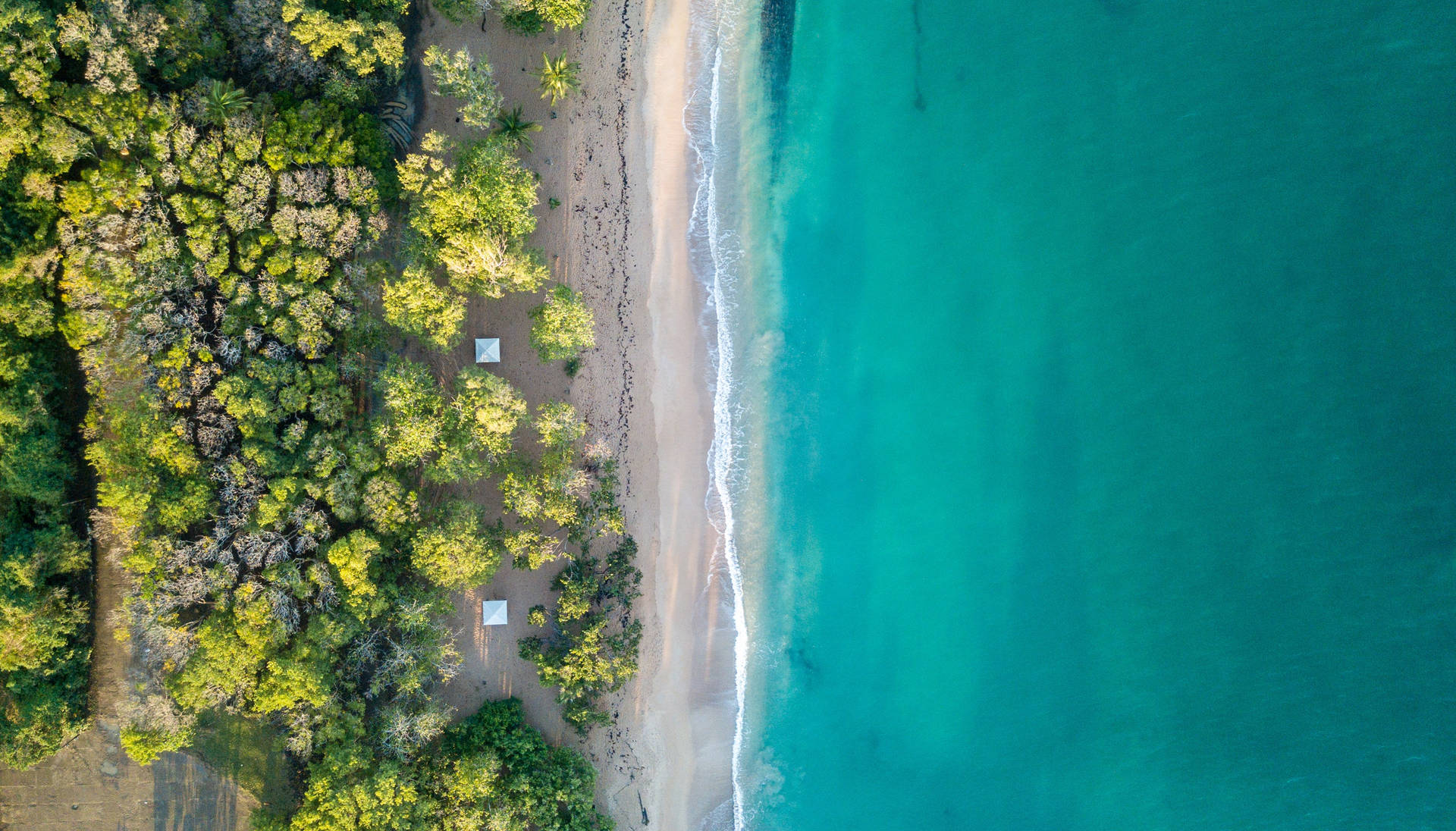 Guadeloupe Aesthetic Drone Shot Background