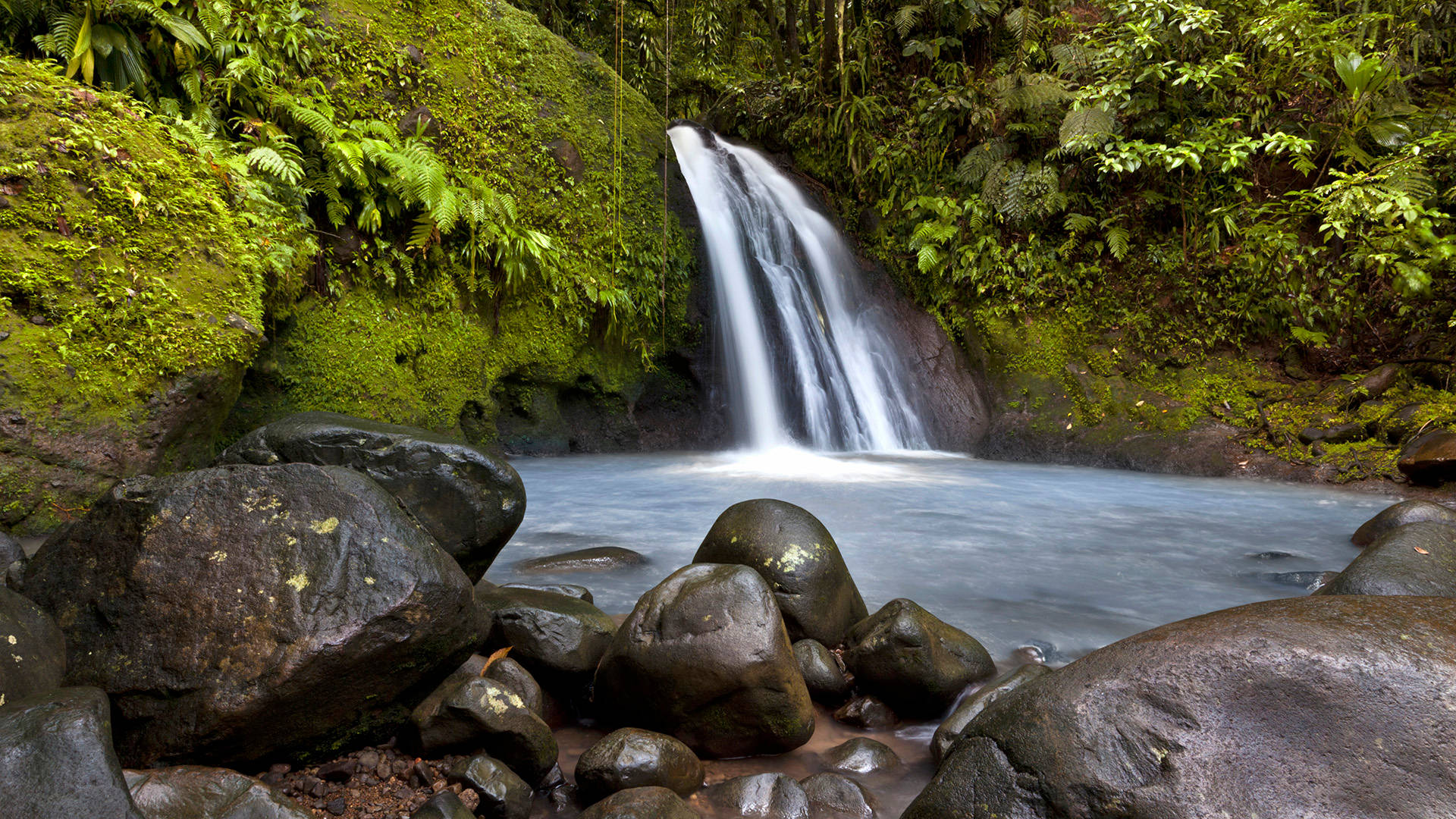 Guadeloupe Cascading Waterfalls Background