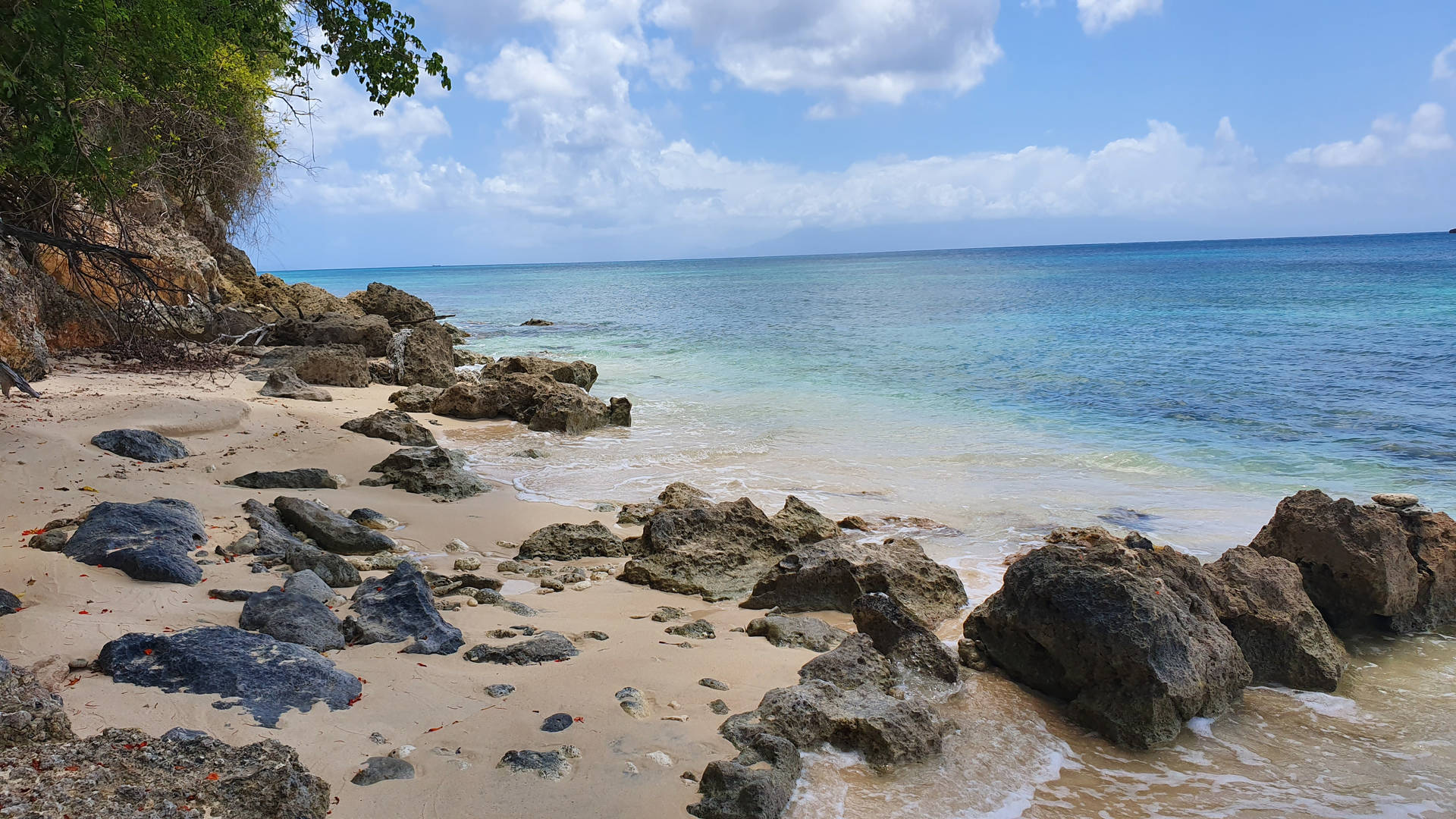 Guadeloupe Rocky Beach Background