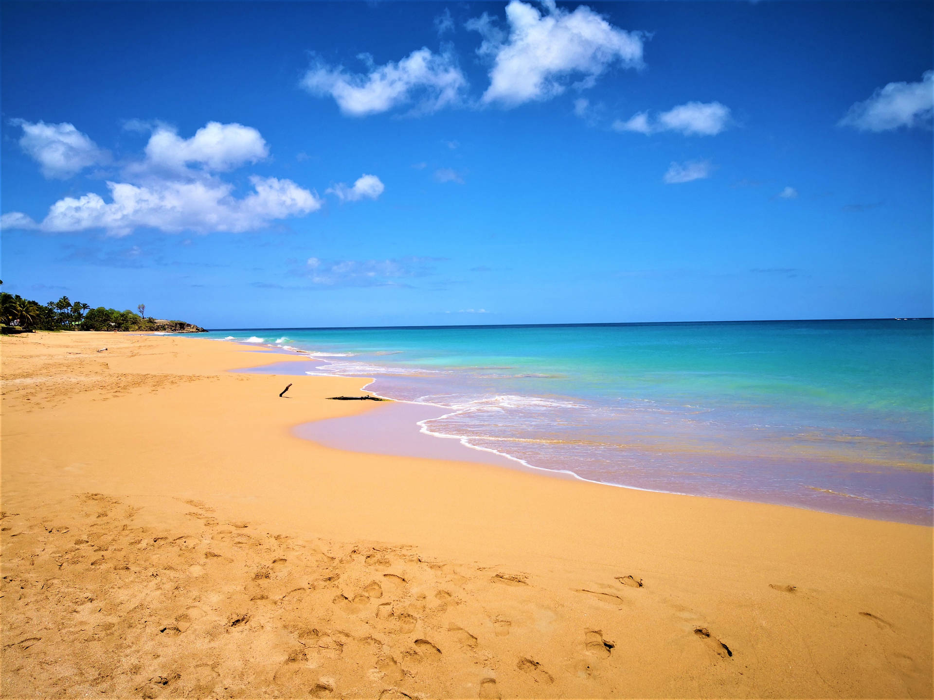 Guadeloupe White Sand Beach Background