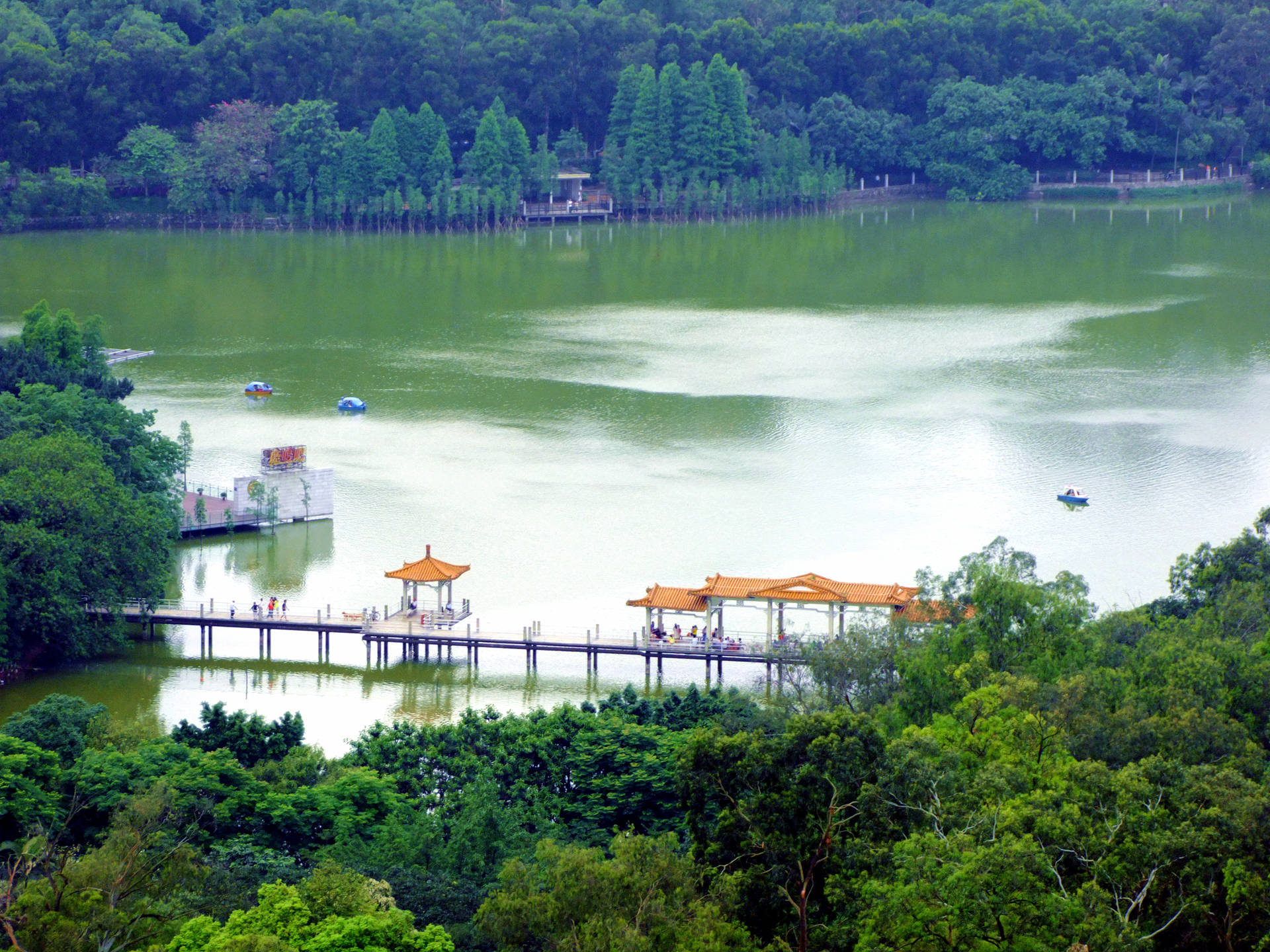 Guangzhou Luhu Park Background