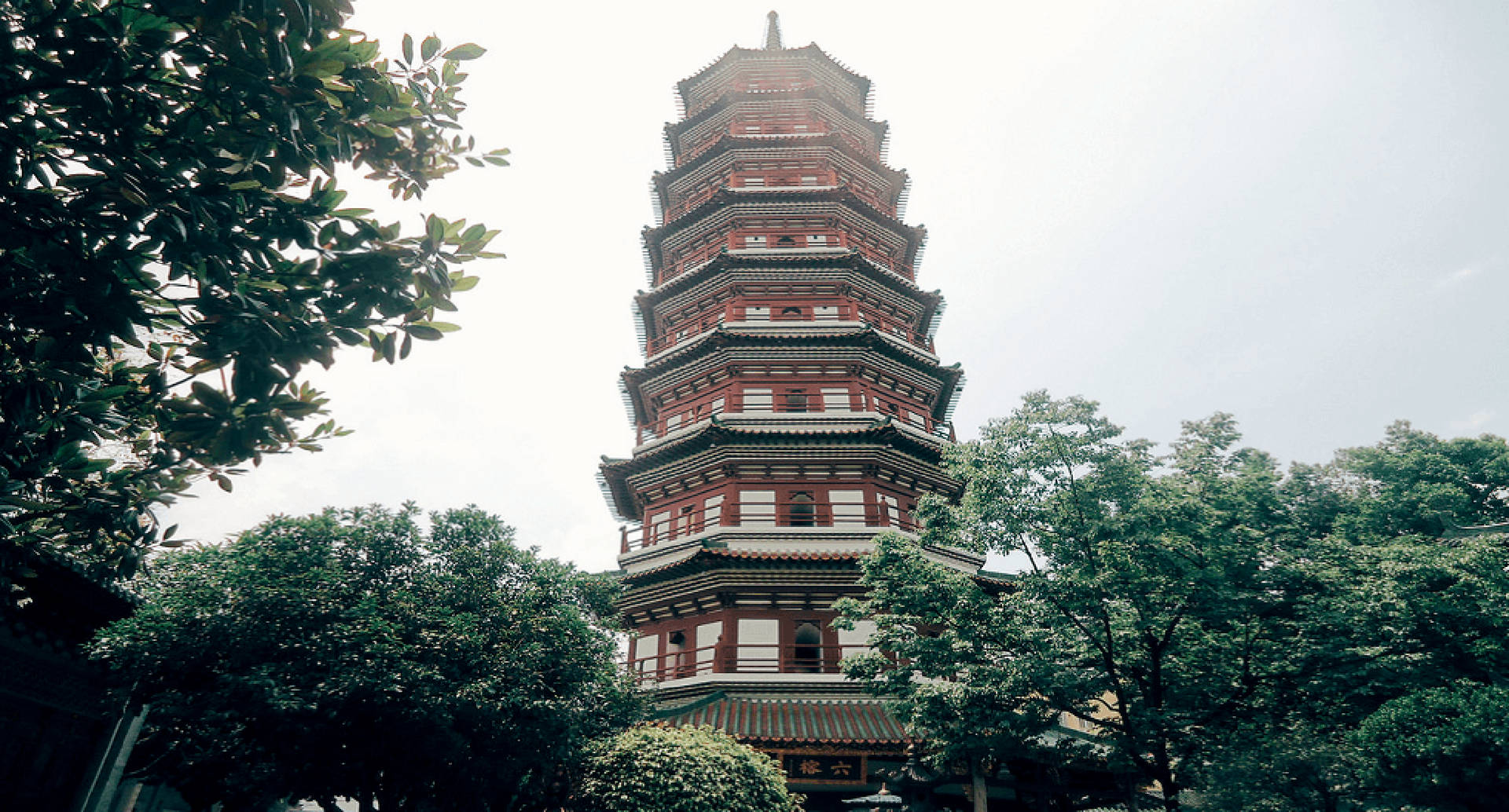 Guangzhou Six Banyan Trees Temple Background