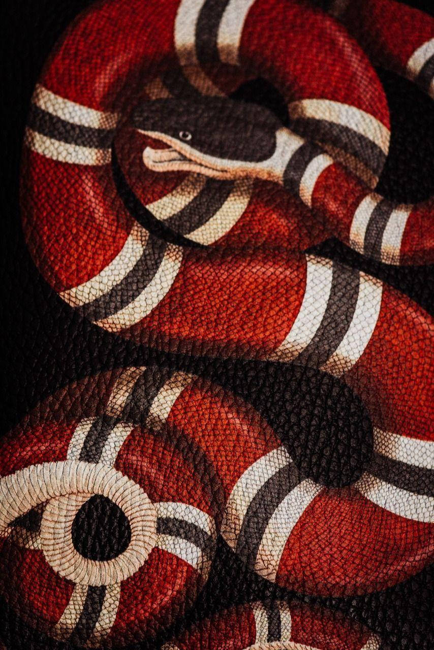 Gucci Designer Snake Logo Background