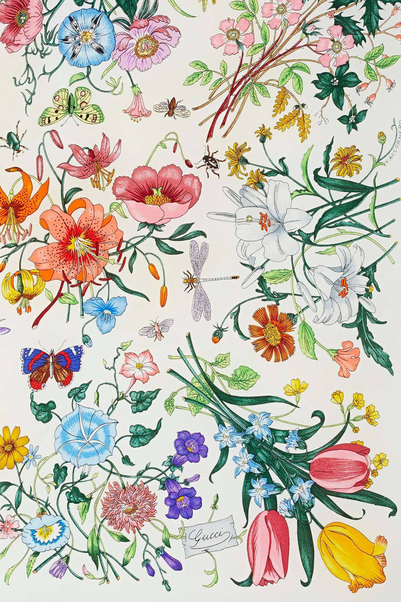 Gucci Pattern Flora Design Background